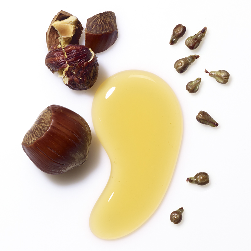 Active Ingredients